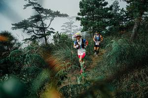 BIB: 
                            <button type="button" onclick="openModal(25258796)" class="btn btn-primary btn-sm float-right btn-popup" data-toggle="modal" data-target=".modal-high-quality">
                        <i class="fas fa-shopping-cart"></i> Add to Cart
                    </button>
                                            <button type="button" onclick="isThisMe(25258796, true)" class="btn btn-success btn-sm float-right btn-popup btn-isme hidden" data-toggle="tooltip" data-placement="bottom" title="นี่คือรูปของคุณใช่ไหม คลิกที่นี่เพื่อเอาเข้าอัลบั้ม">
                        <i class="fas fa-plus"></i> Add to album
                    </button>
                    <button type="button" onclick="isThisMe(25258796, false)" class="btn btn-warning btn-sm float-right btn-popup btn-isnotme hidden">
                        <i class="fas fa-ban"></i> Remove from album
                    </button>